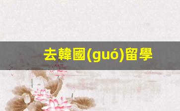 去韓國(guó)留學(xué) 簽證簽證(去韓國(guó)留學(xué)簽證有效期多長(zhǎng)時(shí)間)